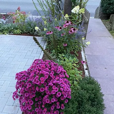 公寓 Zollhaus 圣维特