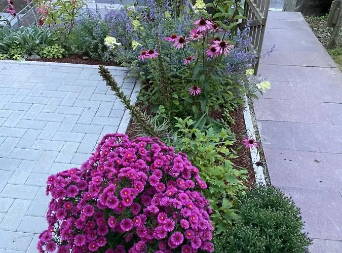 Apartment Zollhaus St. Vith